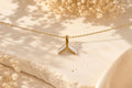 Collar Acero